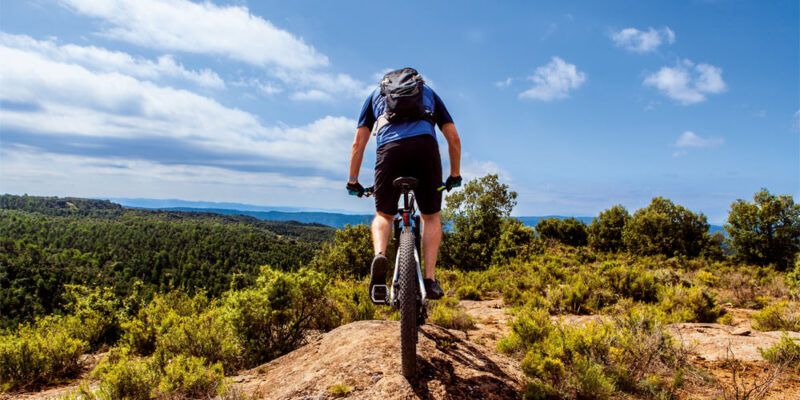 ebike ebike