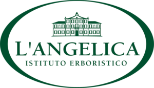 logo-angelica