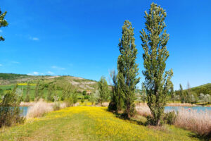 1800x1200-laghetti-camping