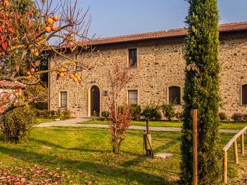 ostello-1200x628